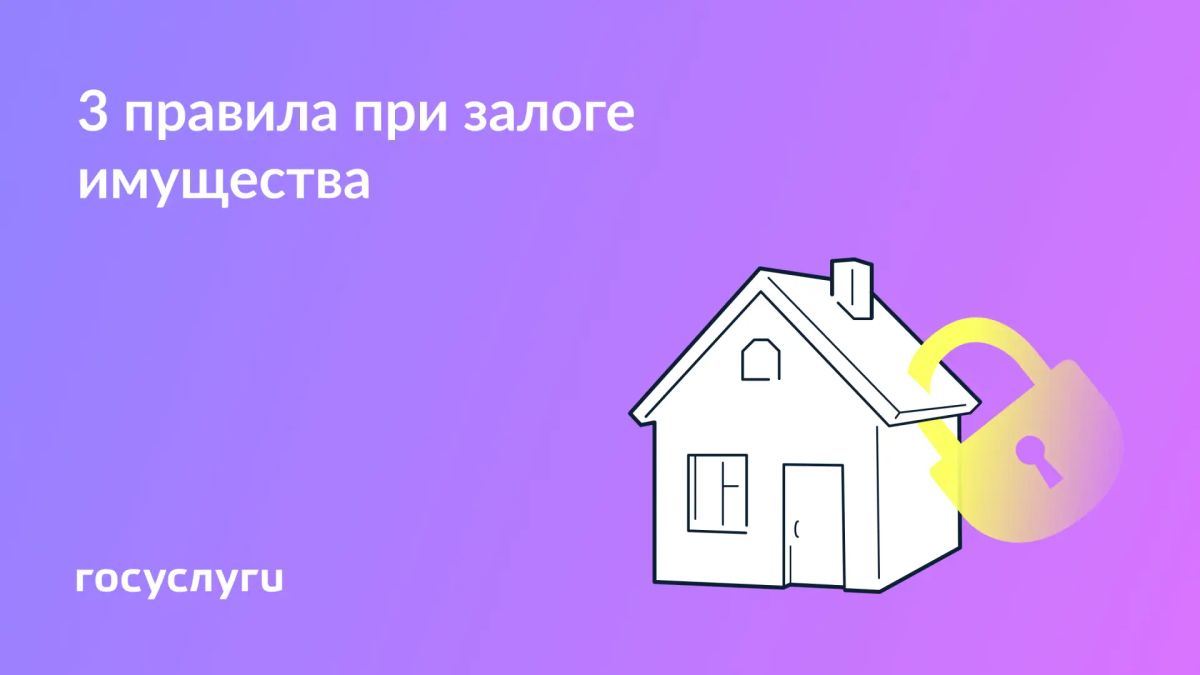 Договор, собственность, ограничения: что нужно знать о залоге