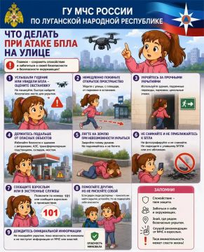 ГУ МЧС России по Луганской Народной Республике представлена памятка о том, как вести себя при атаке БПЛА на улице