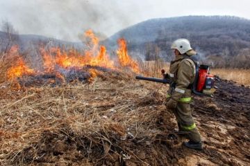 Пожары! Человек главная угроза!