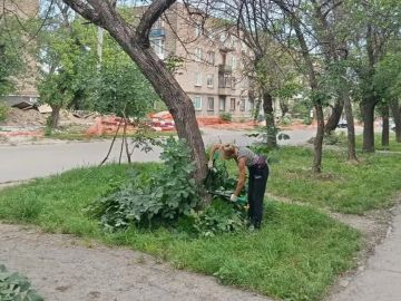 Коммунальными службами проведены работы на территории города