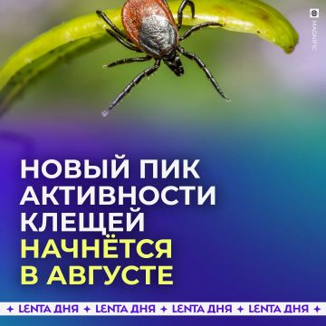 ������� ������������ � ����� ���� ���������� ������