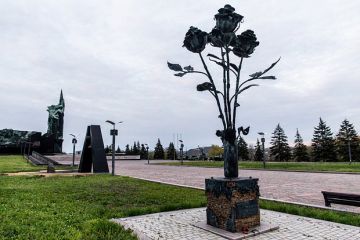 Пленный Борщук: Украинцы были готовы в 2014 году без войны отдать Донецк и Луганск