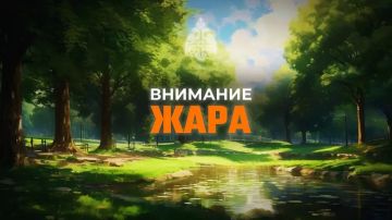 В ЛНР НАДВИГАЕТСЯ ЖАРА ГУ МЧС РОССИИ ПО ЛНР СОВЕТУЕТ: