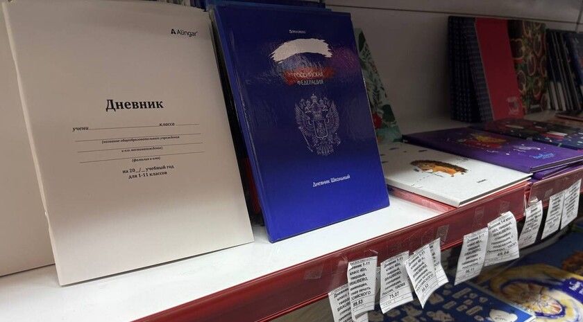 ДНР переходит на всероссийский электронный дневник «Моя школа»