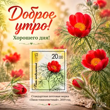 Начните этот день с улыбки, а всё остальное обязательно сложится самым лучшим образом
