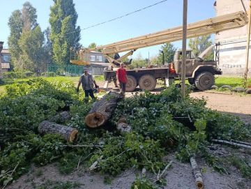 Андрей Рубанцов: Работаем по обращениям жителей: в Ровеньках продолжается обрезка и удаление аварийных деревьев