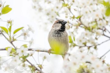 � 8 �� 16 ������� � ������ ������� ������ ���� �������� ��������