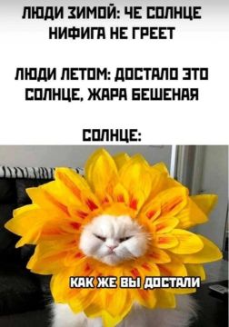 Жиза. Температура: сейчас +27°C, днём — +35°C