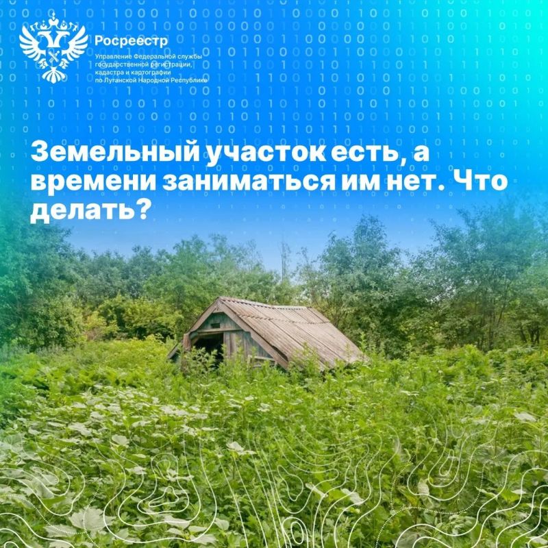 Земельный участок есть, а времени заниматься им нет