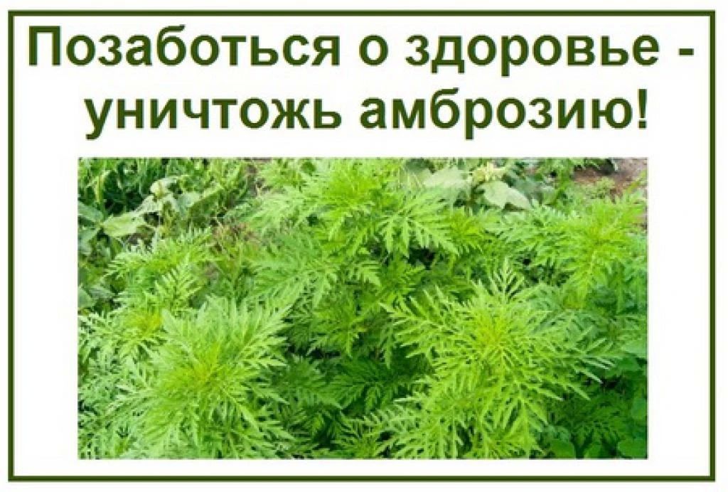 Уважаемые жители, руководители предприятий и землепользователи!