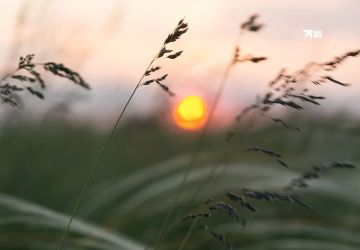 ������ � ��� �� 7 �������: ���� �� +42 ��������