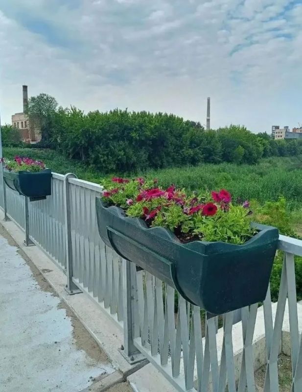 Вандалы уничтожили цветы в клумбе возле парка 1 Мая в Луганске