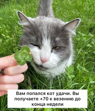 ����� ����� �������������, � ������������