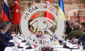 Первый шаг к миру?. Анкара призывает Россию и Украину объявить мораторий на военные действия, заявил глава МИД Турции Фидан