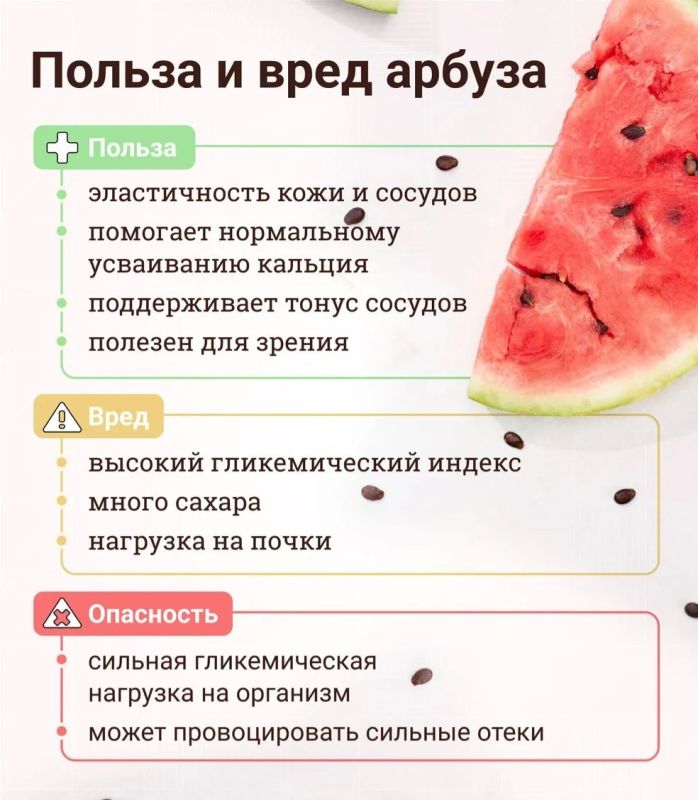 Арбуз: польза и вред. Каждое лето мы слышим: «Арбуз — это сплошная вода, ешьте сколько хотите»
