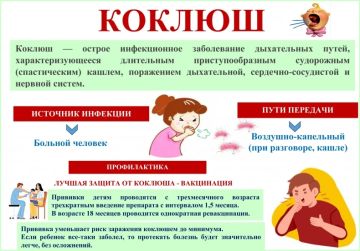 ������������ ��������: ������������ �������