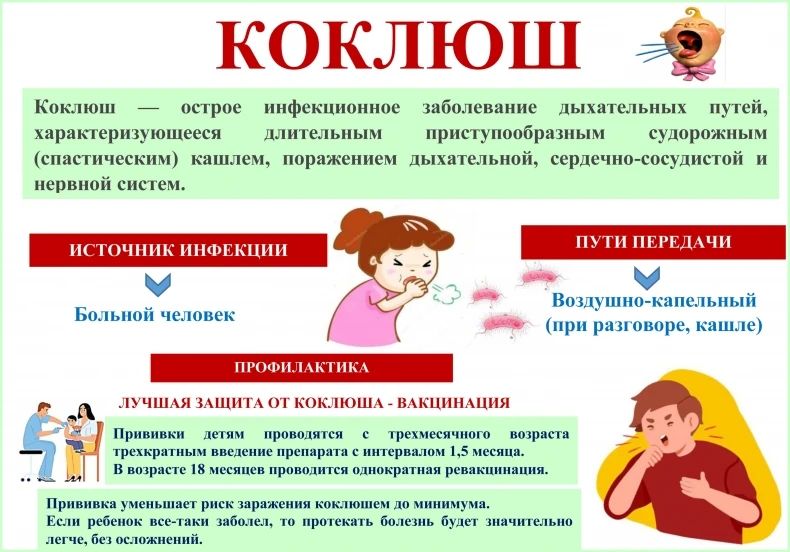 ЭНЦИКЛОПЕДИЯ ЗДОРОВЬЯ: Профилактика коклюша