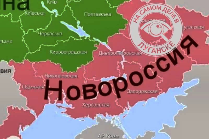 Ученики пятых–седьмых классов будут изучать историю ДНР, ЛНР, Запорожской и Херсонской областей, заявили в Минпросвещения