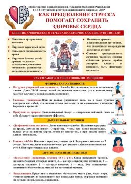 Брянковская центральная многопрофильная больница ЛНР информирует жителей г.Брянка о проведении недели профилактики сердечно-сосудистых заболеваний ( в честь Международного дня здорового сердца — 11 августа)