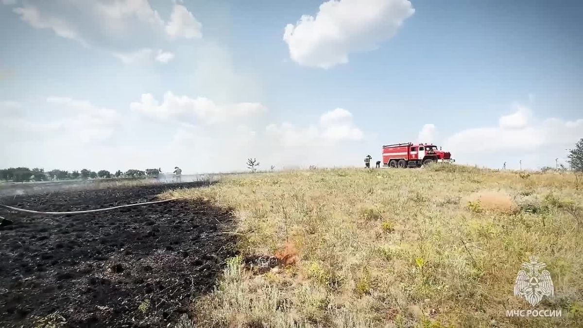 Увидел горящий сухостой, не оставайся безучастным!