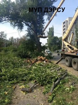 За период с 03.08.2026 по. 07.08.2026 было выполнено :