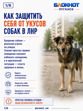 Как защитить себя от укусов собак в ЛНР