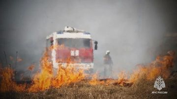 За прошедшие сутки в ЛНР ликвидировали 16 пожаров
