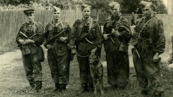 10 августа. 1944. Началась чекистско-войсковая операция по очистке Львовской области от бандеровцев