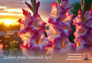 Доброе утро краснолучане и гости города!