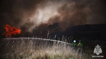За прошедшие сутки в ЛНР ликвидировали 17 пожаров