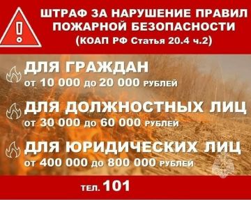 � ������ �������� ������� ���������������� ������ ������������� �����������:
