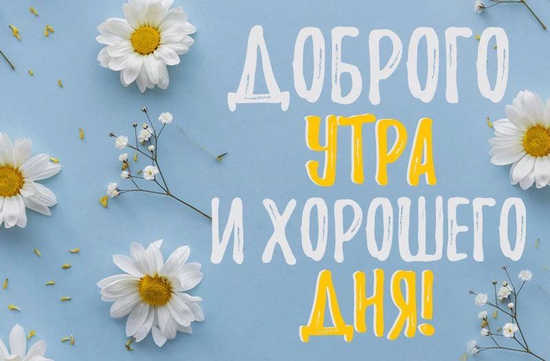 Сегодня Вторник – 11 Августа