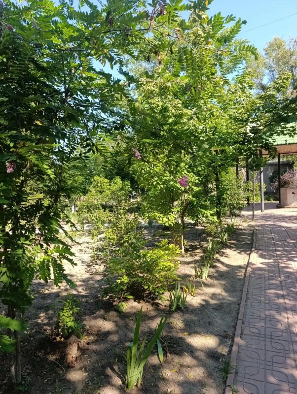 Депутаты оценивают заявки конкурса "Цветник у дома"