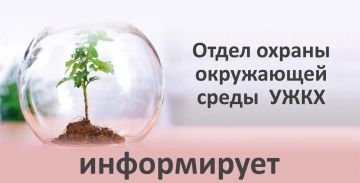 ����� ������ ���������� ����� ���� �����������: