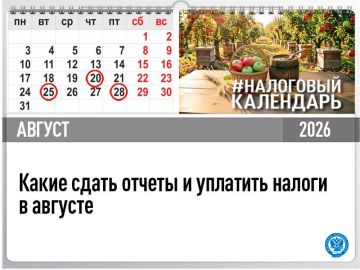 Специалисты Межрайонной ИФНС России №2 по Луганской Народной Республике напоминают о сдаче отчетов и уплаты налогов в августе 2026