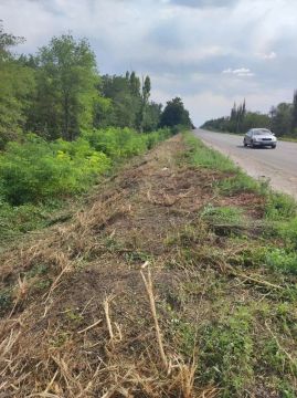 Дорожники продолжают работы по удалению дикорастущей поросли на важных маршрутах