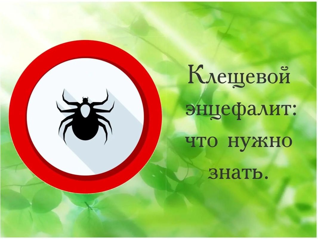 О мерах профилактики клещевого вирусного энцефалита