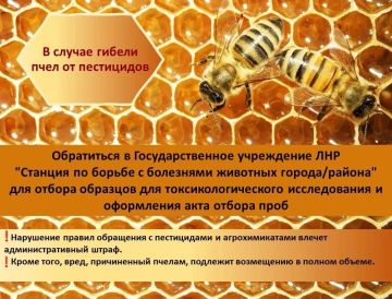 Безопасность пчёл — общая ответственность аграриев и пчеловодов