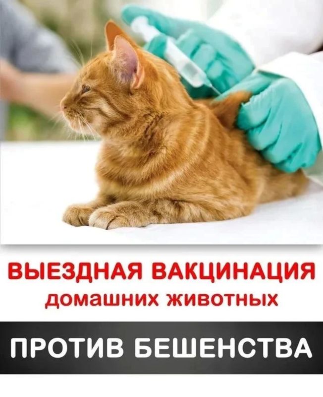 График проведения подворных обходов для профилактической вакцинации против бешенства, восприимчивых животных на территории м.о. Новопсковский с 13 августа по 19 августа 2026 года