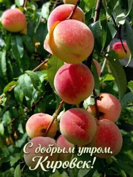 Желаем, чтобы ваш день прошел на одном дыхании — легко, продуктивно и с искренней радостью!