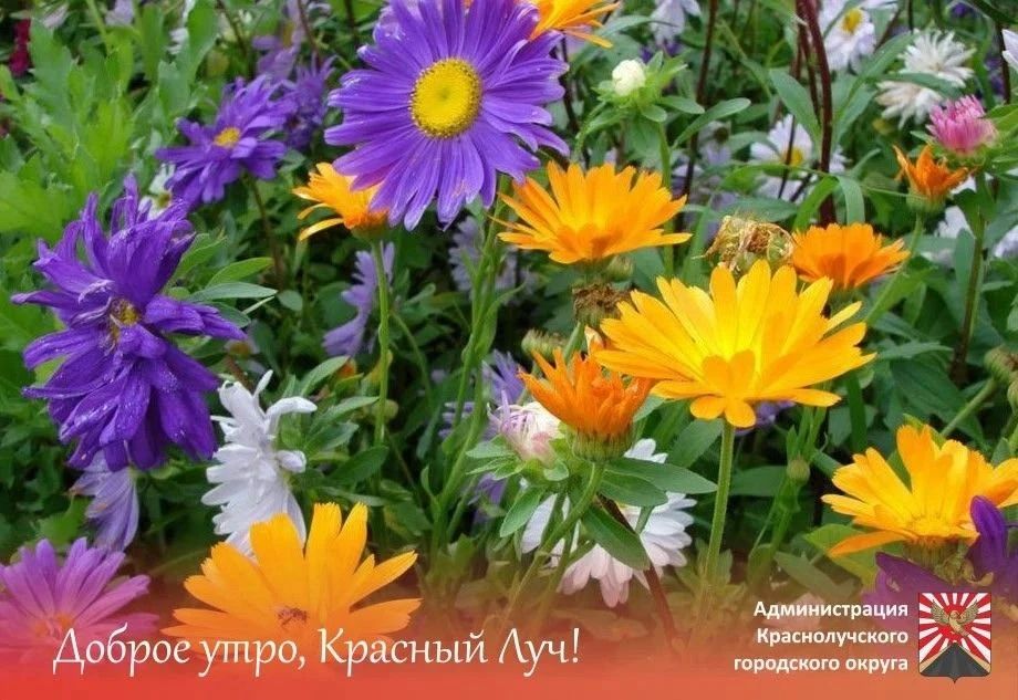 Доброе утро, краснолучане и гости города!
