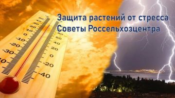 ������������ ��������: ��� ������ ������ �� �������������� ������� � ���