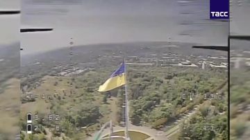 ��������� ������ ������� �� ����� �������, �������������� � �����������