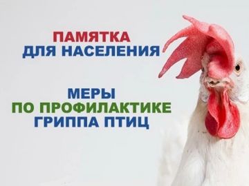 ������� ��� ��������� � ����� �� ������������ ������ ����