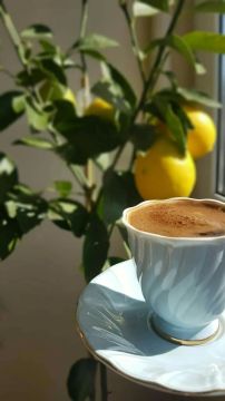 Доброе утро. Пусть ваш день начнётся с чашки любимого напитка и хорошего настроения!