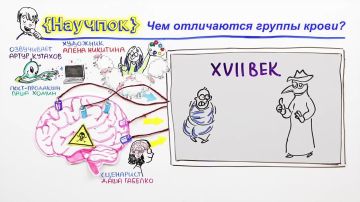 КАК РАБОТАЮТ НАРКОТИКИ?. От истории появления наркотиков — до механизма их воздействия на организм