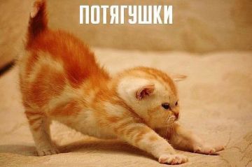 Йога — лучший спорт в борьбе с бессонницей, — учёные