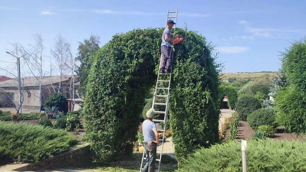 В пгт Городище продолжаются работы по благоустройству