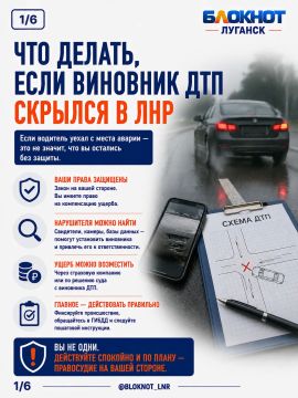 Что делать, если виновник ДТП скрылся в ЛНР