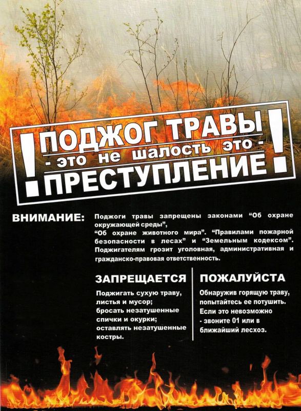 НЕ ЖГИ СУХУЮ РАСТИТЕЛЬНОСТЬ И МУСОР !